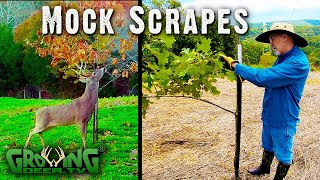 Easy, Step by Step Guide to Make Mock Scrapes (#570)