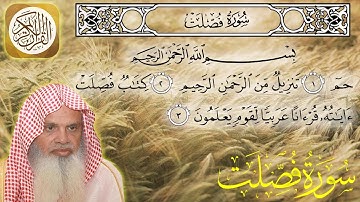 سورة فصلت كاملة مكتوبة الشيخ علي عبدالرحمن الحذيفي surah Fussilat - sheikh Ali Al Huzaifi