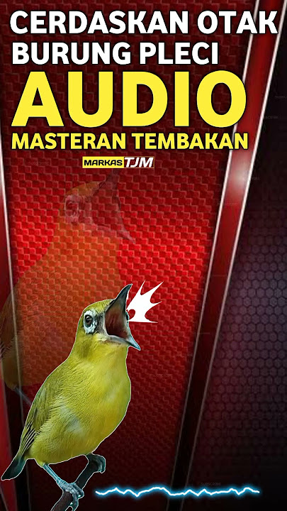 TERAPI OTAK PLECI SUPAYA CERDAS DAN MASUK MASTERAN #masteranpleci #terapipleci