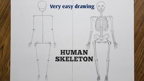 Easy way to draw human skeleton step by step