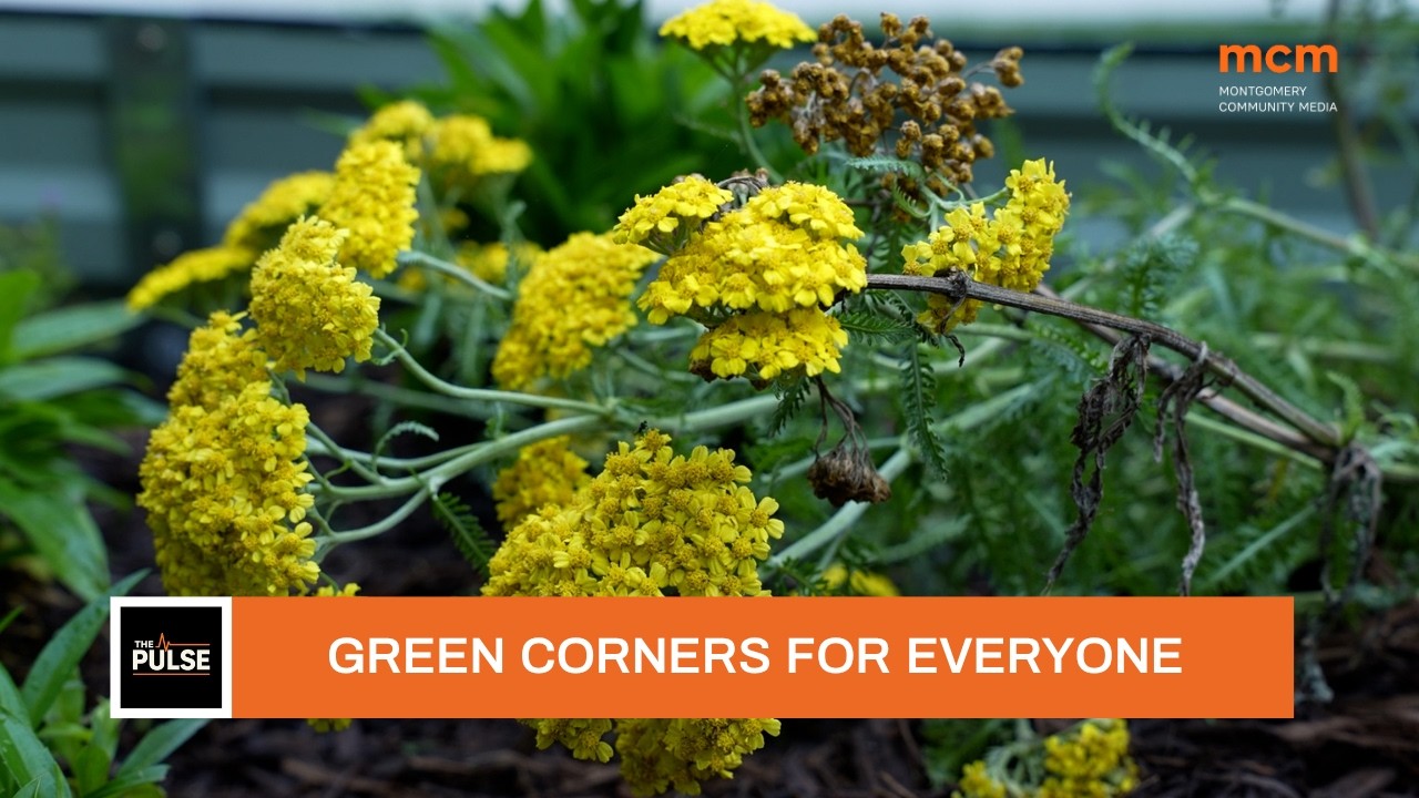 Students build 'Green Corners for Everyone' pocket park in Montgomery County