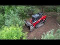 Kubota SVL97-2 with FAE Head Mulching a field of invasive Scots Pine with machine walk around.