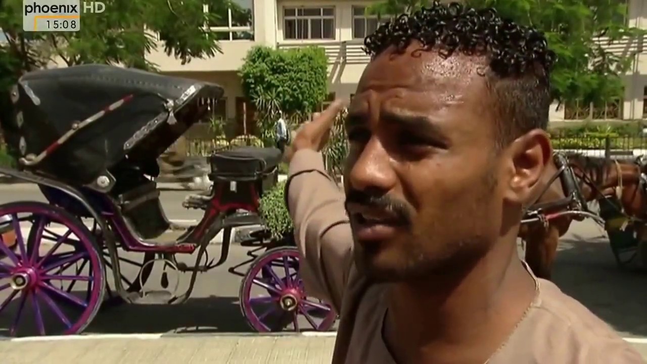 Ausverkauf am Nil - Grabräuber zerstören Ägyptens Weltkultur (Qualitäts Upgrade)