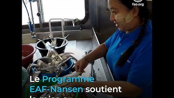 Le Programme EAF-Nansen – soutenir l’application de l’approche écosystémique à la gestion des pêches