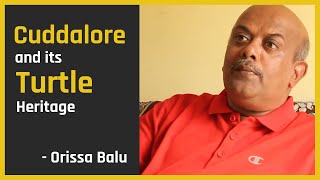 Cuddalore and its Turtle Heritage | Orissa Balu Interview