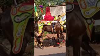 Kuda Renggong Jablay kudarenggong