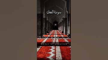 سورة النحل.          #متابعة من فضلك للاستمرار 🥀 ♥️       #ماهر_المعيقلي #قرآن