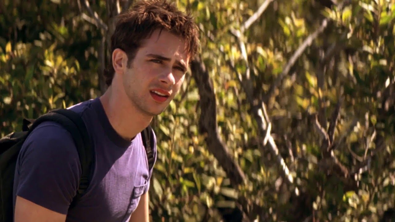 Одинокий пастух, Джеймс Ласт (ковер). Открытые сердца. Автор Эдуард ...