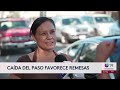 🔴 EN VIVO | Mascotas víctimas de las deportaciones | 6PM| 10.14.26