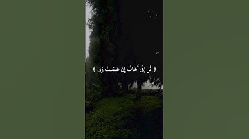 تلاوة هادئة تريح القلب