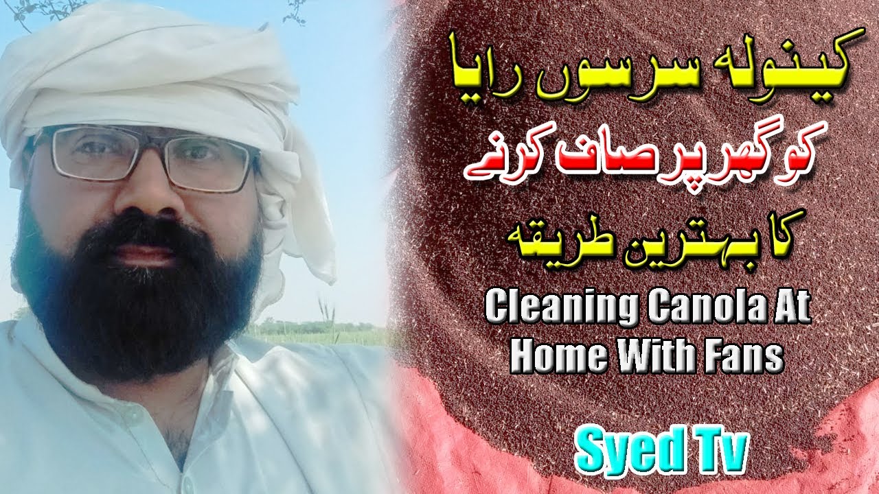 How to Clean Mustard Canola Sarso Seeds at home in Best Fan Method ll @syed tv