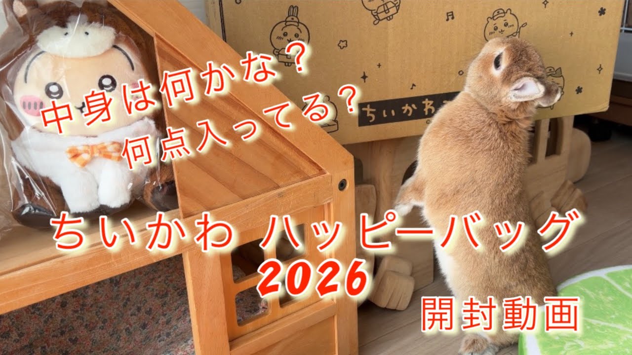 ちいかわ】ちいかわ福袋ハッピーバッグ2026午年開封！！中身は一体なに