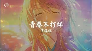 [1hour loop] 青春不打烊 Youth isn't closed - 王梓钰 Wang Ziyu