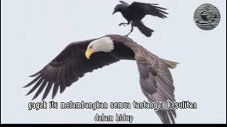 filosofi elang dan gagak