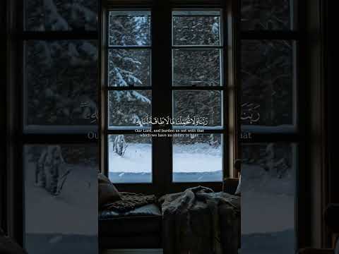 ربنا ولاتحملنا مالا طاقة لنا به الشيخ عبدالباسط عبدالصمد عبدالباسط عبدالصمد قرآن Quran تلاوات ربنا ولاتحملنا مالا طاقة لنا به الشيخ عبدالباسط عبدالصمد عبدالباسط عبدالصمد قرآن Quran تلاوات