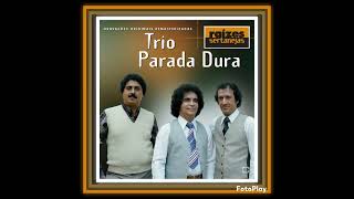 CD - SERTANEJO. TRIO PARADA DURA . RAÍZES SERTANEJAS. RARIDADE. TAMBÉM FAZ PARTE DA MINHA COLEÇÃO.