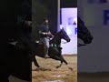 Chede Roxa, na sela de Bruno Silva, garantiu o 8° lugar na C. profissional vaquejada do Haras Líder
