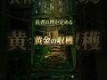 【奇跡】12万人に一人の神叡。長者原・稲荷神社が告げる『黄金の収穫』