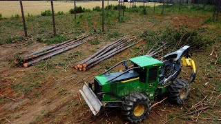 PINE TREE HARVEST