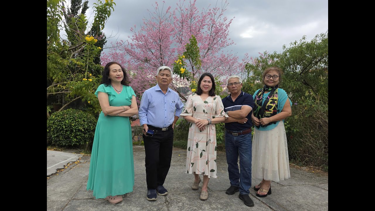 DÃ QUỲ HỘI NGỘ MÙA MAI ANH ĐÀO  02-05.02.2026