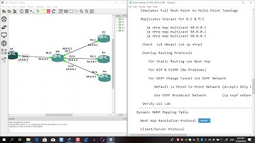 89- mGRE Tunneling Dynamic Mapping
