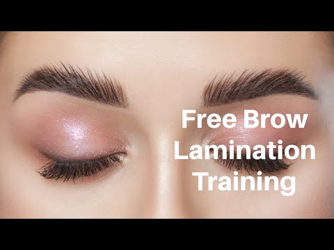 Professional Brow Lamination Kit with Free Training