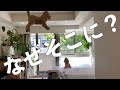 後悔の気持ちでいっぱいです【 American Cocker Spaniel &Toy Poodle】English translation