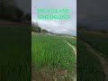 My pride my village Nadirgund Tangmarg