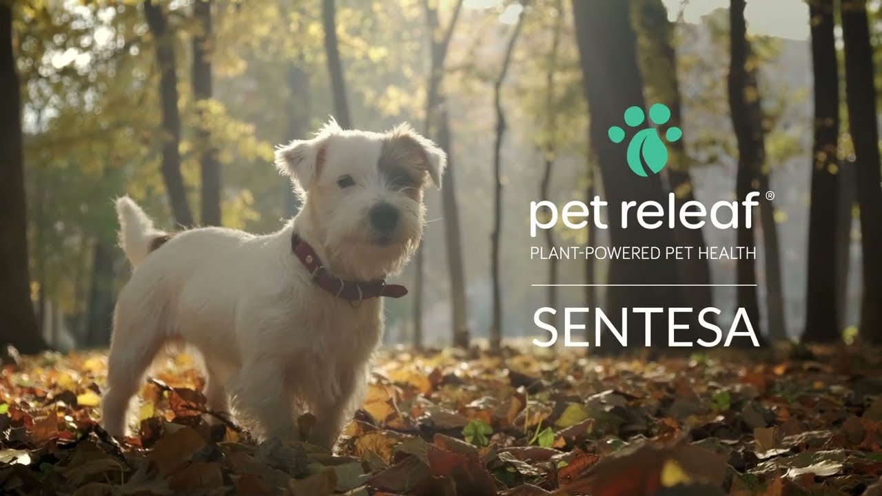 Pet Releaf Sentesa