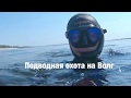 Подводная охота на Волге в г. Волгоград 23.06.2019