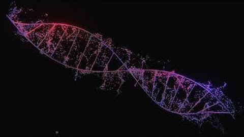 DNA Helix Particle Simulation