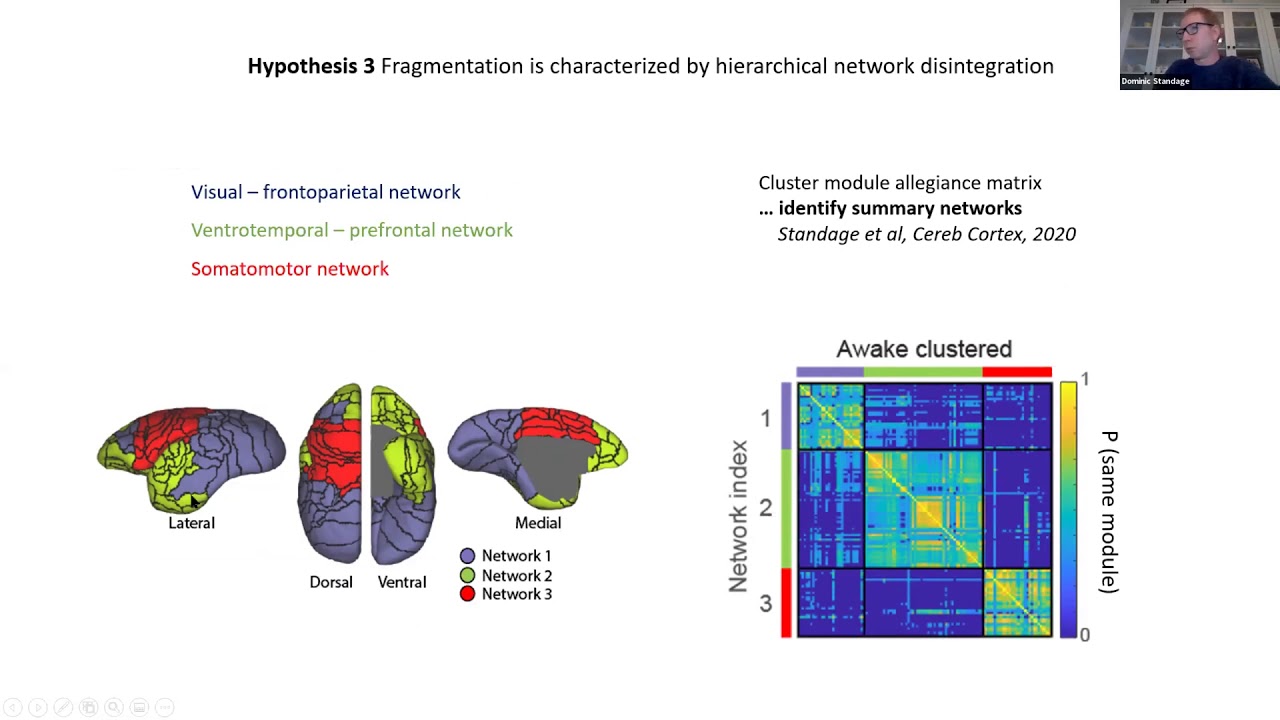 Talk: Differential modular dynamics in marmoset cortex during conscious and unconscious states