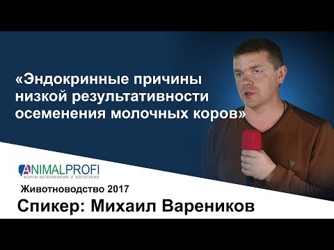 Видео: Распространенные болезни пальм пиндо - что делать с больной пальмой пиндо