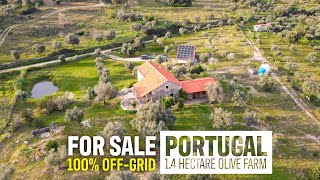 1.4 Hectare OFFGRID Homestead FOR SALE Aldeia do Bispo, PENAMACOR (Central Portugal  Real Estate)