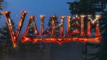 How To Spawn Coins In Valheim