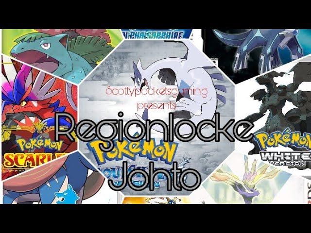 Will Our Egg Be Valid!? (Pokémon Soul Silver Randomizer Typelocke