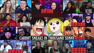 Carrot Sneaks in Thousand Sunny Reaction Mashup | One Piece Episode 777-778-779