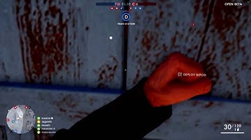 Battlefield 1 Beta Invisible Hacker Already?