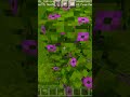 Garden wall design in minecraft     shorts minecraft monishgamingyy subscribe youtube