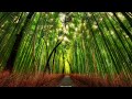 Beautiful Relaxing Music – Calm Overthinking, Stress Relief, Deep Sleep Music for Peaceful Mind