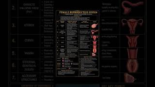 female reproductive system ncert line by line for neet student cbse board and other boards