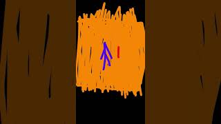 red vs purple army part 1