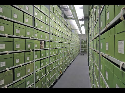 Kew&rsquo;s Fungarium: The World&rsquo;s Largest Collection of Fungi