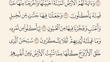 سورة يس مكتوبه الشيخ ماهر المعيقلي