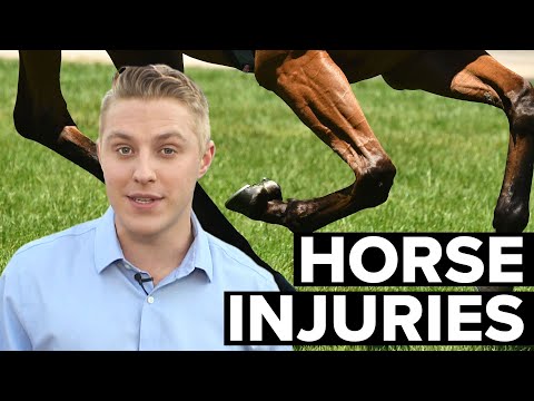 Video: Ar galite pataisyti arklius, kuriems smogė karvė?