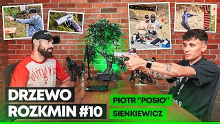 DRZEWO ROZKMIN #10 - PIOTR 