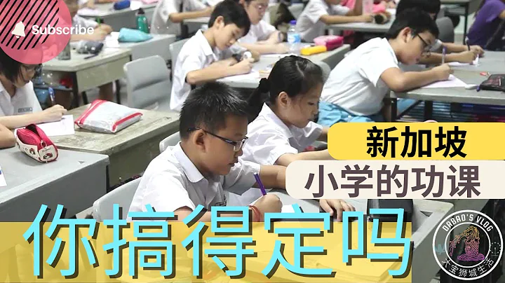 新加坡小學功課有多難？ 名校的執念：為燒腦補習瘋狂的家長們 | 大寶獅城生活