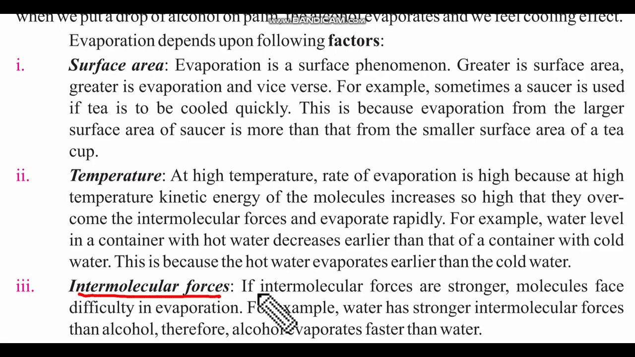 Factors affecting evaporation Chemistry Class 9th Ch 05 YouTube