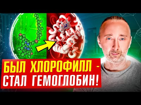 Как хлорофилл из зелени становится гемоглобином нашей крови? Магний и железо: тайна раскрыта!