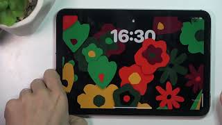 Как активировать звук блокировки на APPLE iPad mini (2024) screenshot 3